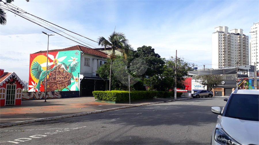 Foto REO1041478