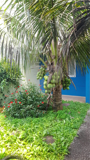 Venda Casa Peruíbe Bougainville Residencial Iv REO1041566 7