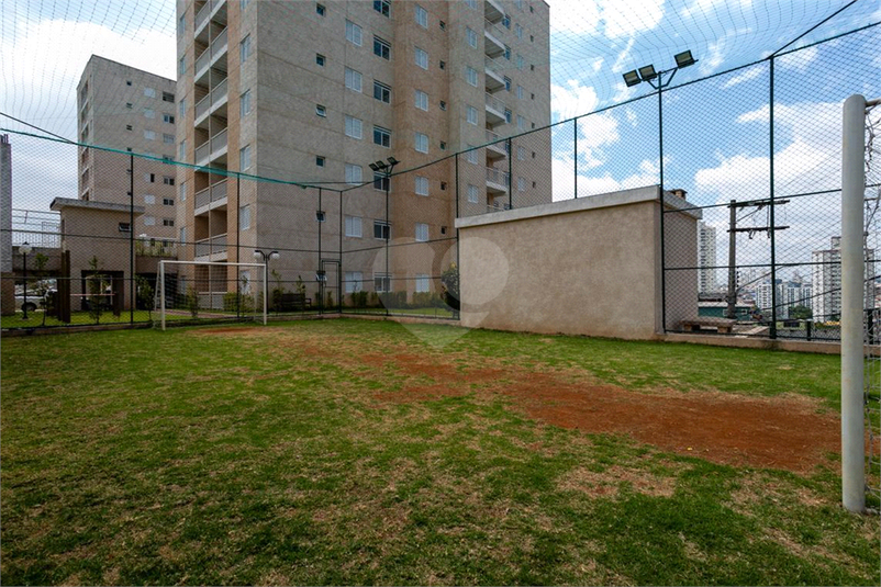 Foto REO1041671