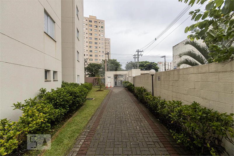 Venda Apartamento São Paulo Brás REO1041782 69