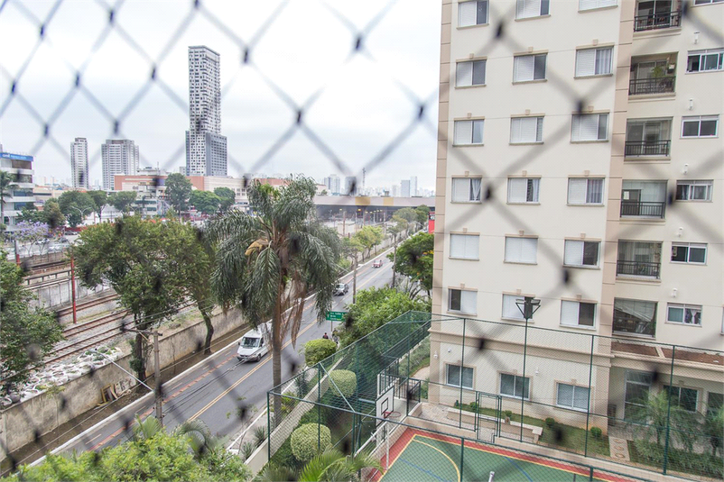 Foto REO1041792