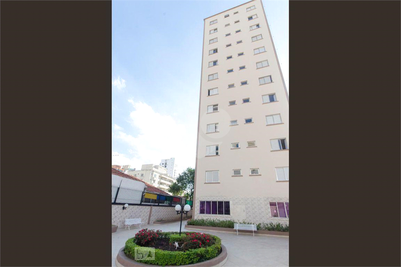 Foto REO1041866