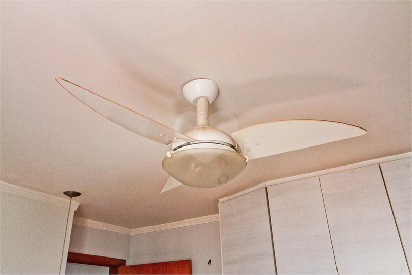 Foto REO1041866