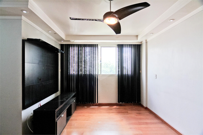 Foto REO1041866