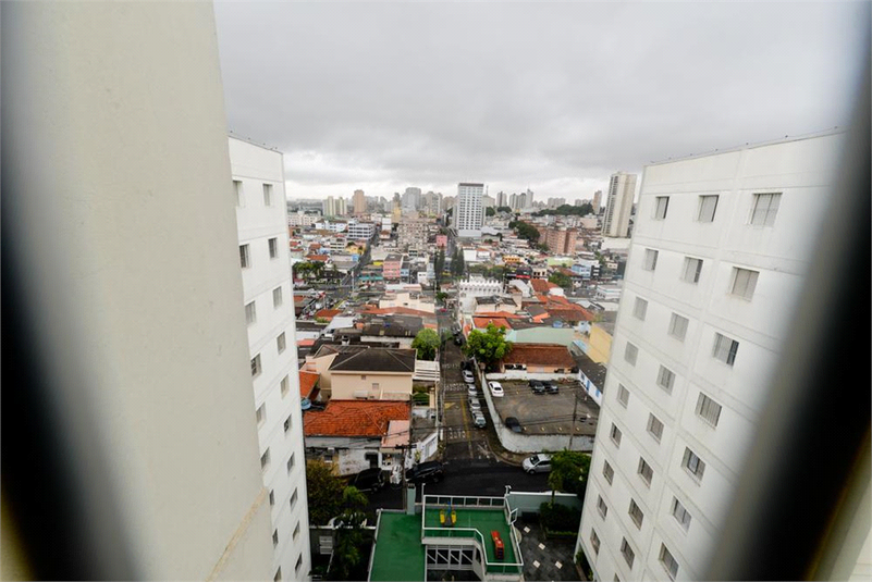 Foto REO1041885