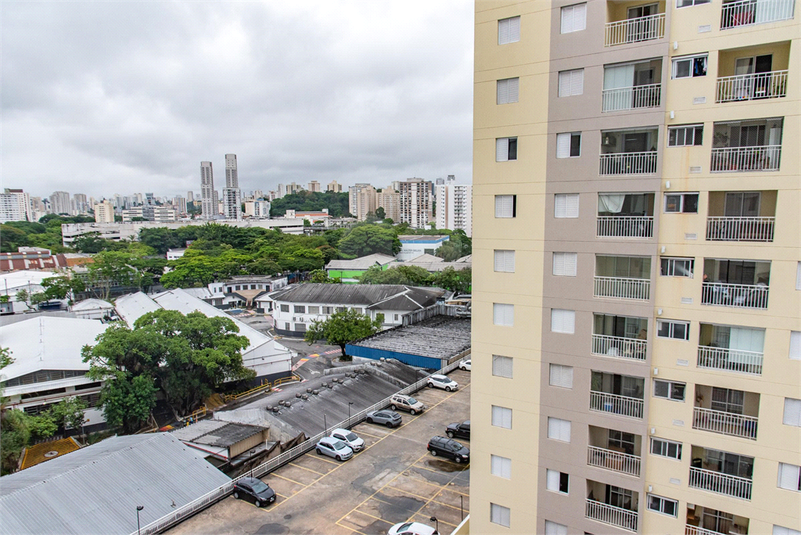 Venda Apartamento São Paulo Cambuci REO1041895 9