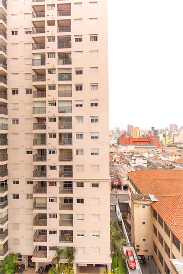 Foto REO1041917