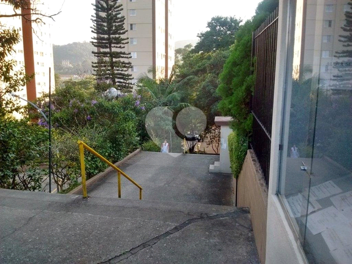 Venda Apartamento São Paulo Jardim Peri REO1042010 7