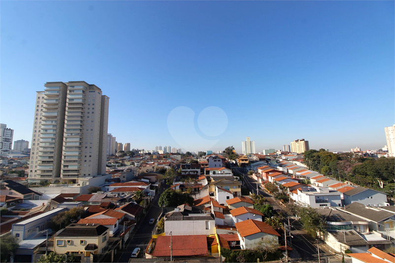 Foto REO1042096