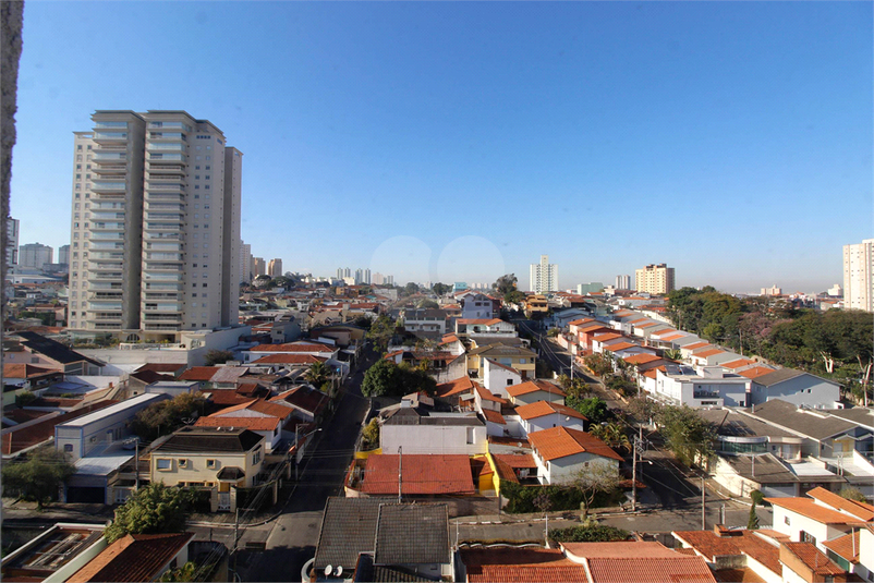 Foto REO1042096