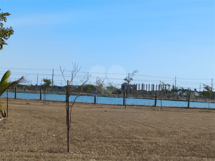 Foto REO1042207