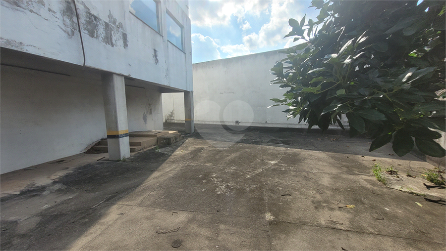 Foto REO1042217