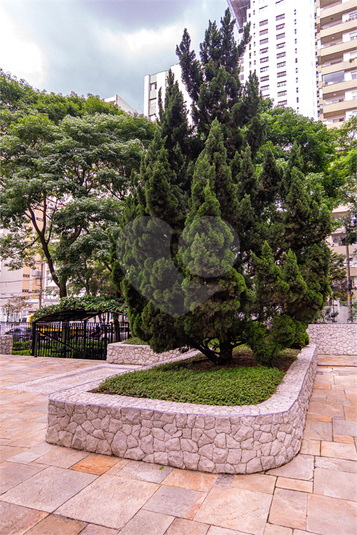 Foto REO1042279