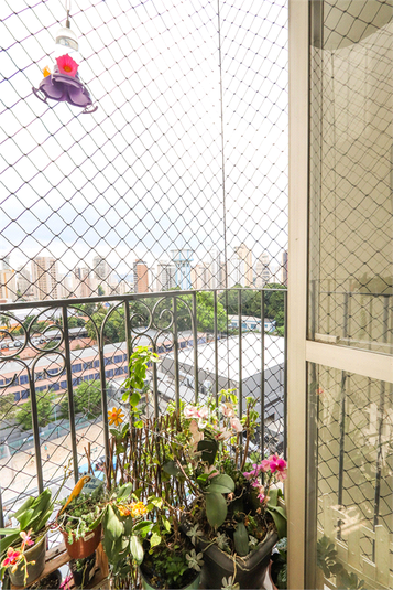 Venda Apartamento São Paulo Jardim São Paulo(zona Norte) REO1042330 12