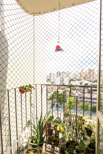 Venda Apartamento São Paulo Jardim São Paulo(zona Norte) REO1042330 11