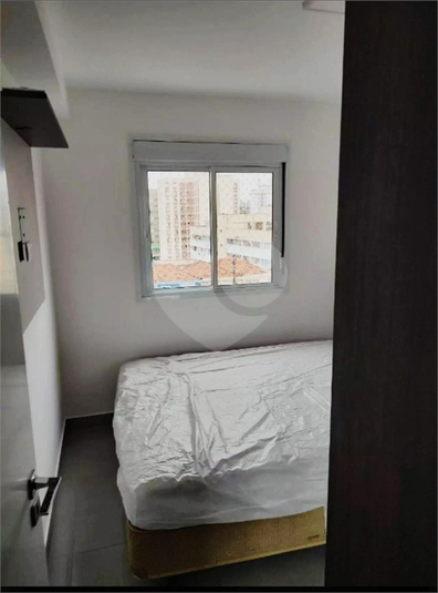 Foto REO1042475