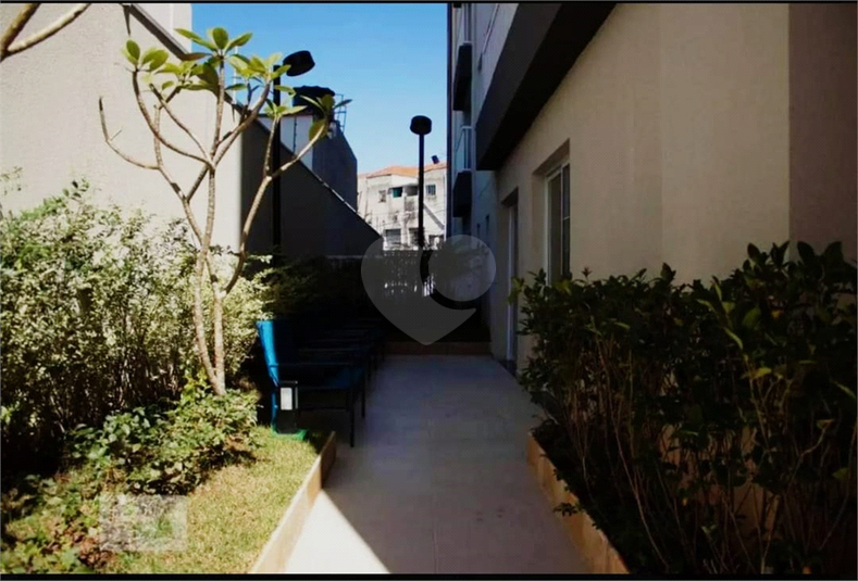 Foto REO1042475