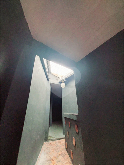 Foto REO1042477