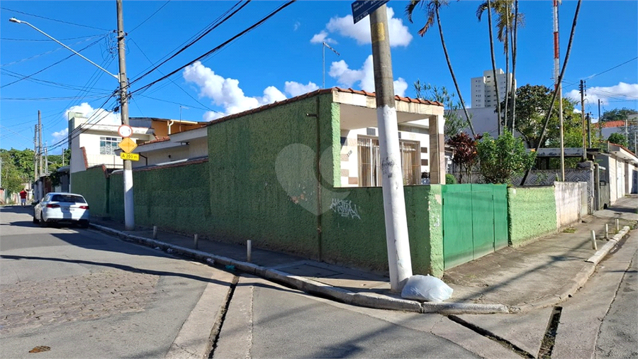 Foto REO1042515