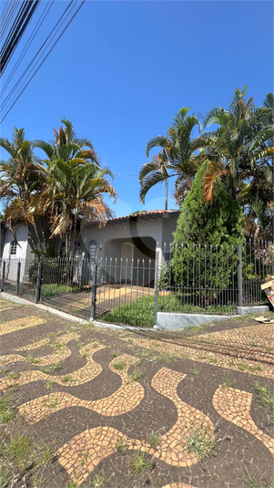 Foto REO1042623