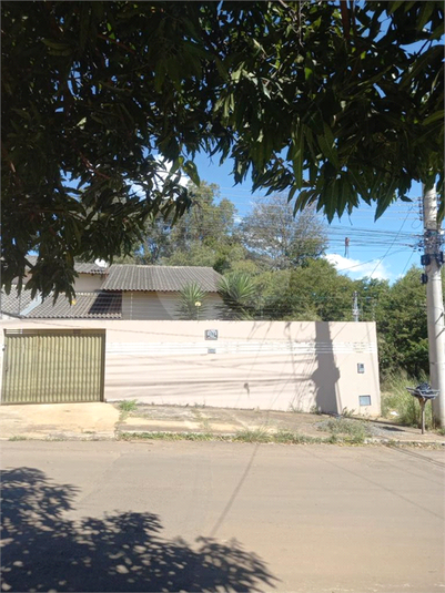 Foto REO1042632