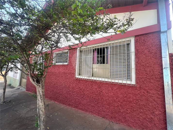 Foto REO1042666