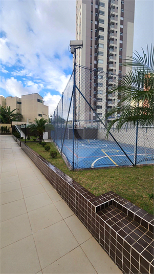 Aluguel Apartamento Santo André Vila Guiomar REO1042672 27