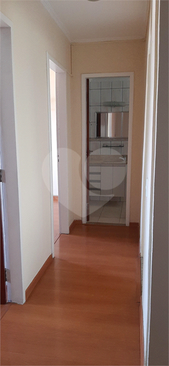 Venda Apartamento Campinas Jardim Paulicéia REO1042780 8