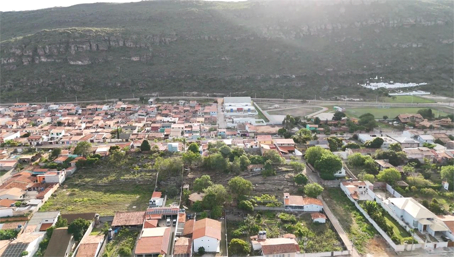 Foto REO1042817