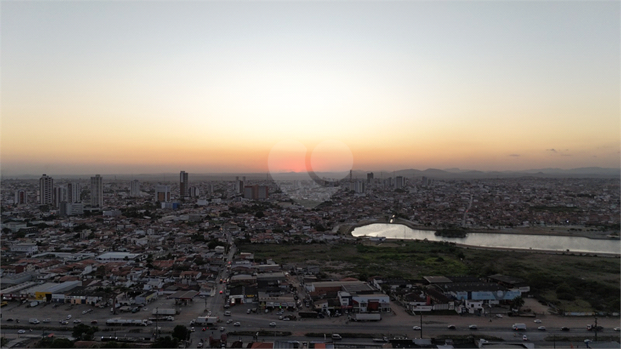 Foto REO1042826