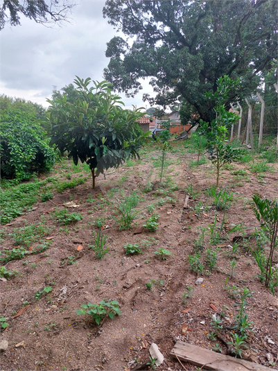 Venda Terreno Sorocaba Jardim Parada Do Alto REO1042897 12