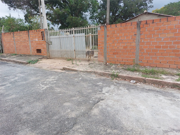 Foto REO1042897