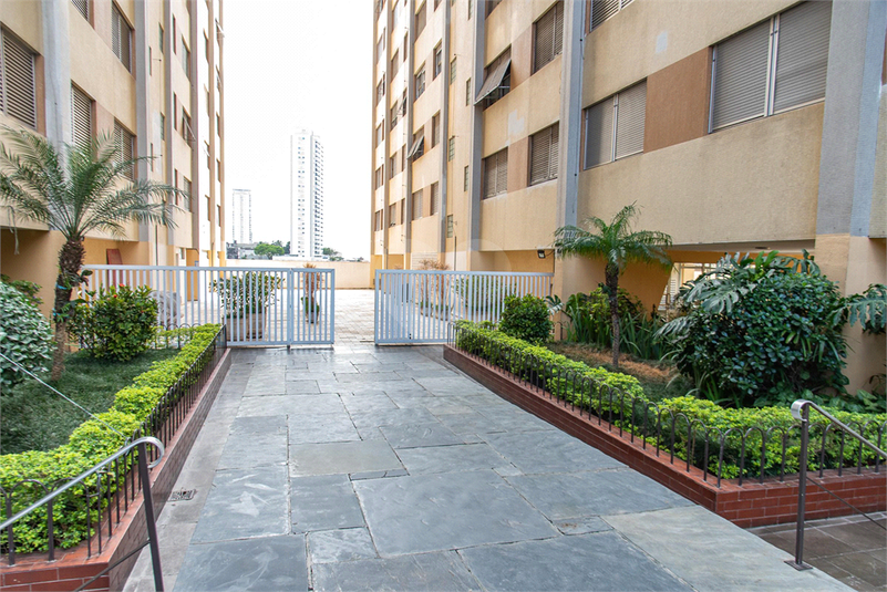 Venda Apartamento São Paulo Cambuci REO1043222 32