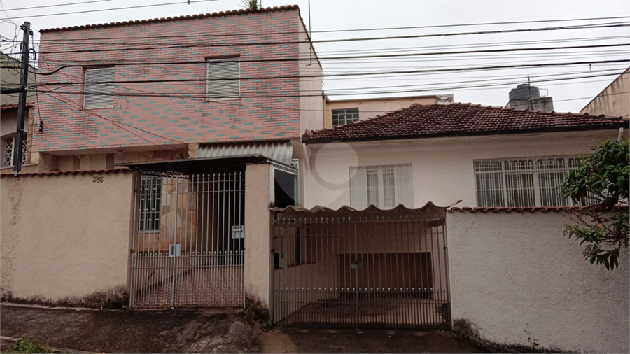 Foto REO1043452