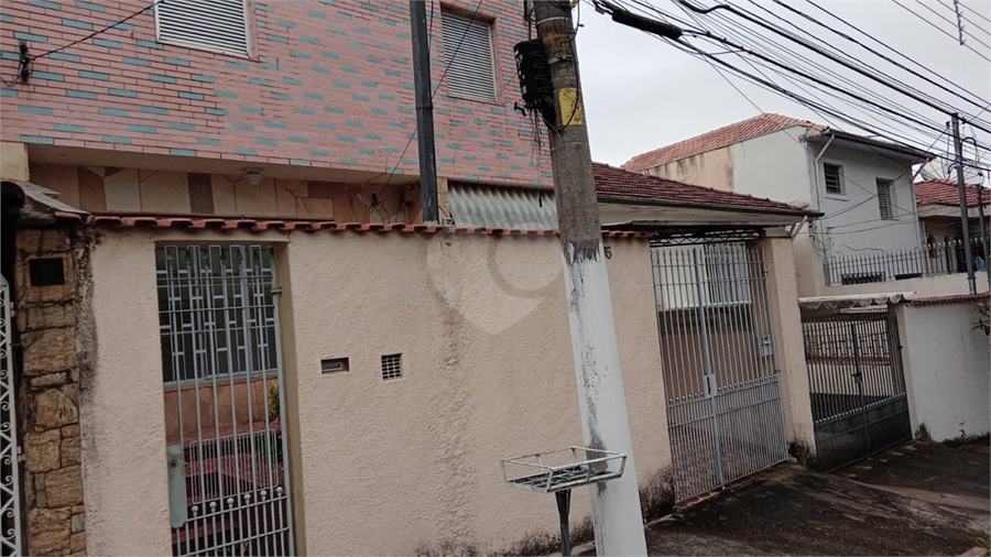 Foto REO1043452