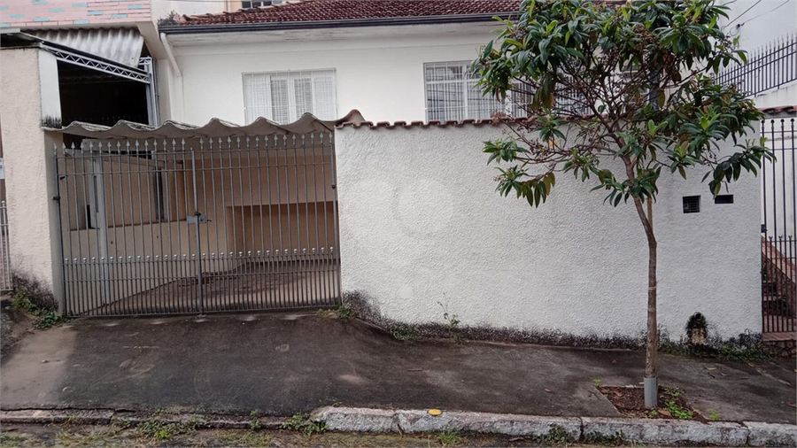 Foto REO1043452