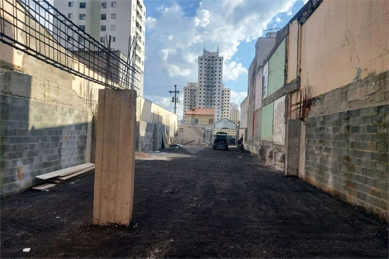 Foto REO104346