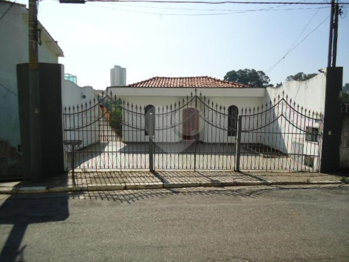 Foto REO104352
