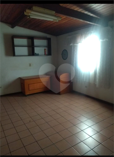 Foto REO1043557
