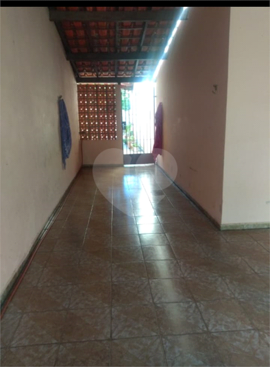 Foto REO1043557