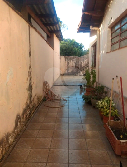 Foto REO1043557