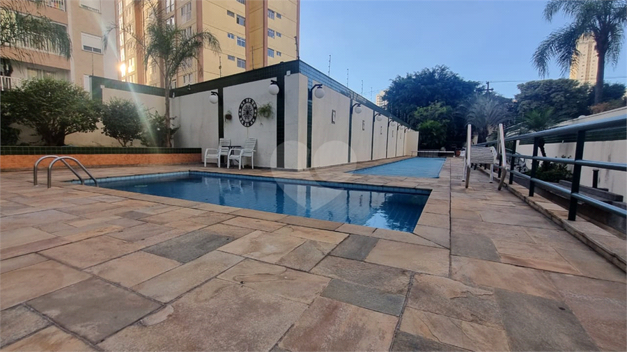 Foto REO1043628
