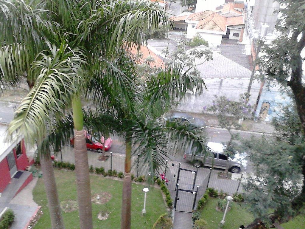 Venda Apartamento São Paulo Jardim Da Campina REO104382 16