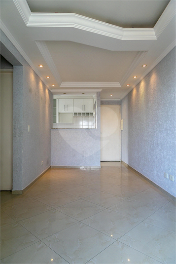 Foto REO1043889