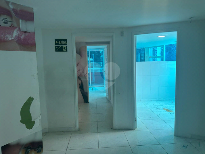 Foto REO1043895