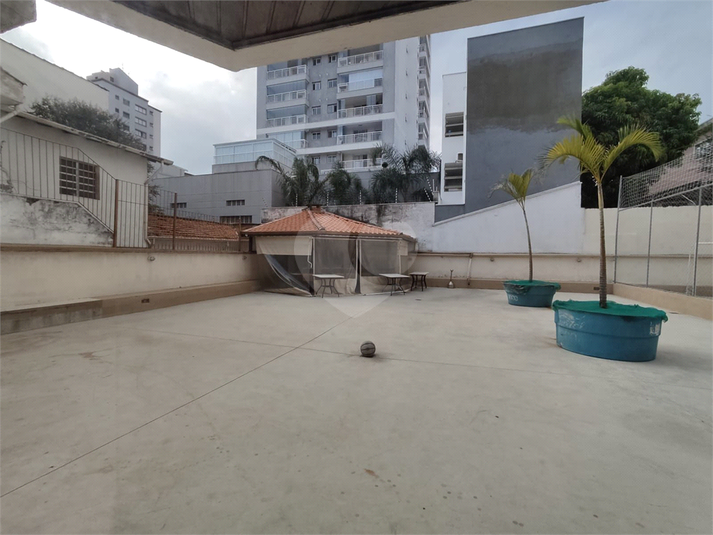 Foto REO1043925