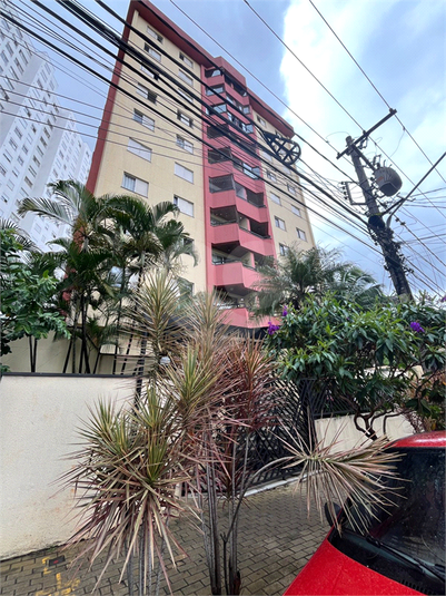 Foto REO1044073