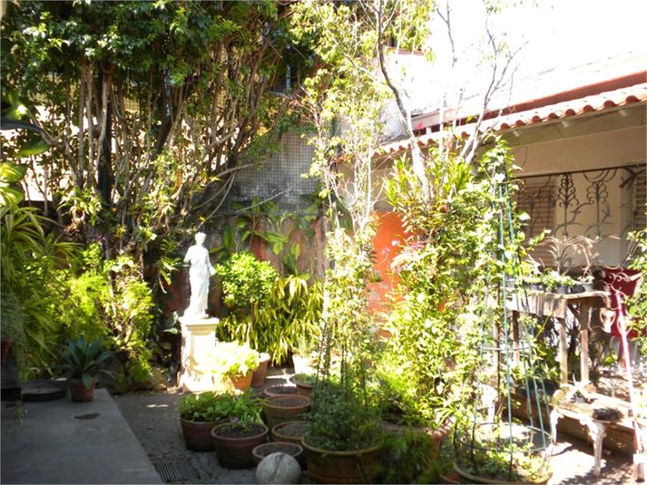 Foto REO104413