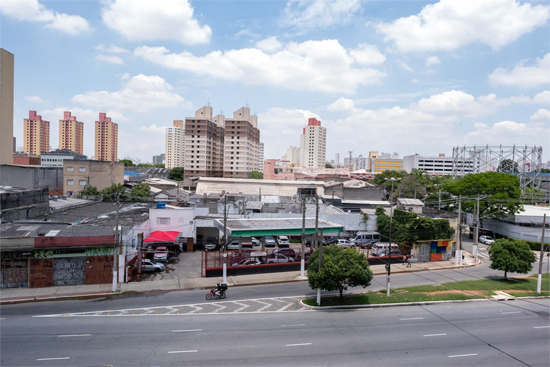 Foto REO1044161