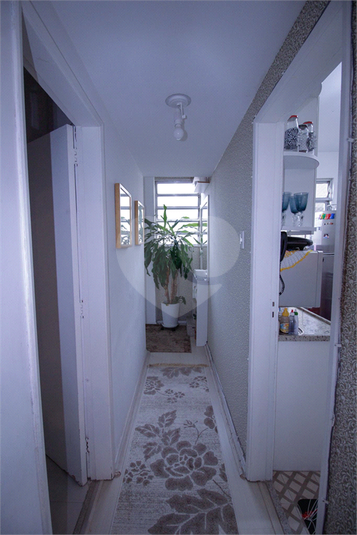 Foto REO1044296